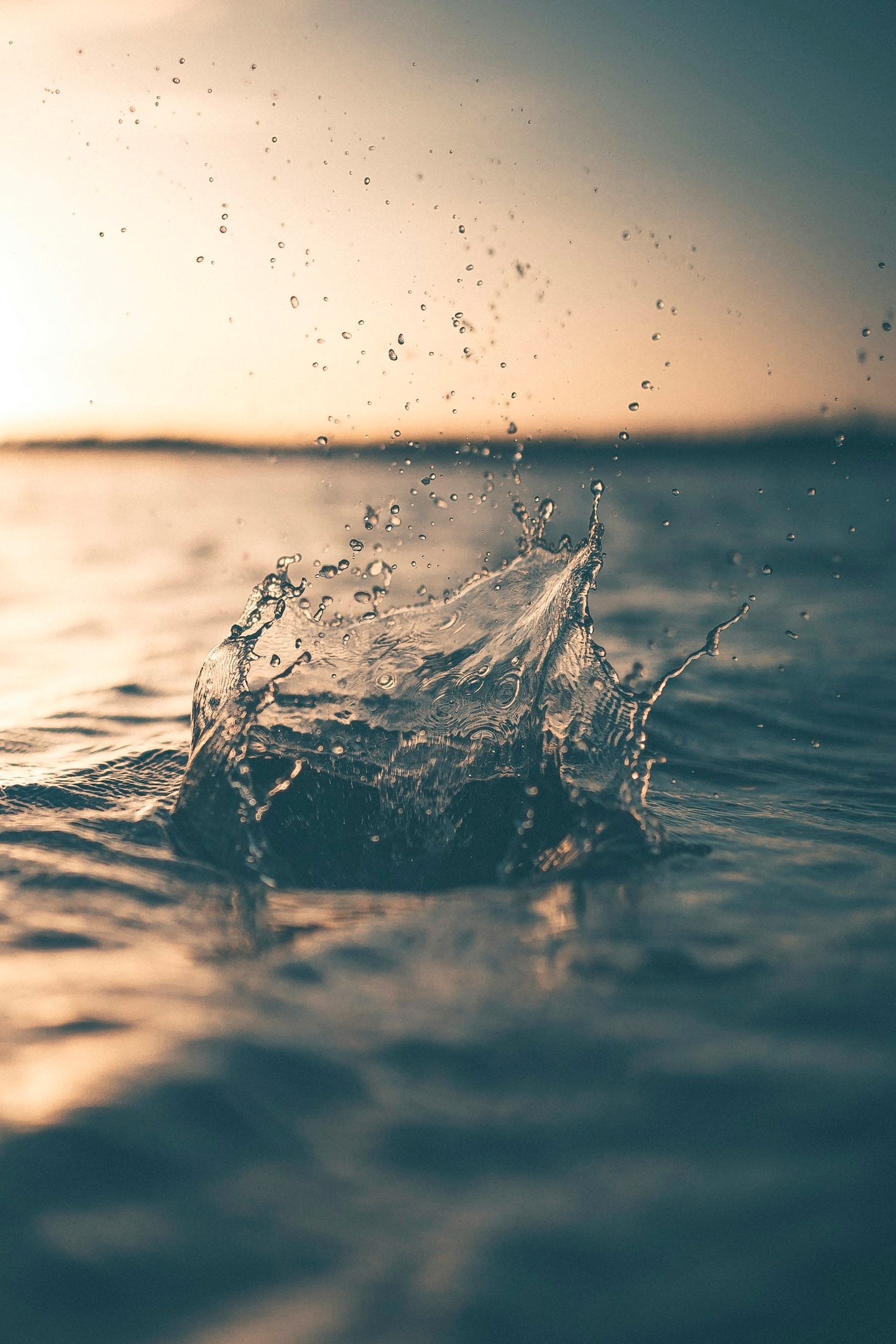 Consejos para mantener tu piscina pública siempre impecable